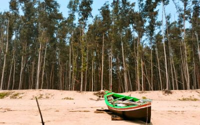 Weekend Getaway to Dublagadi and Bagda – Stay at Triple R Camp Resort